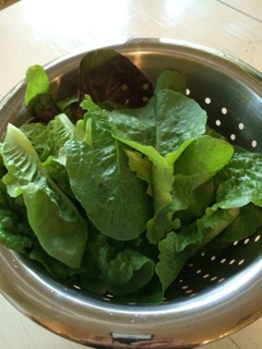 Fresh Salad Greens with Citrus Vinaigrette - Kathy Maguire